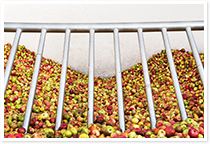 150115_Content_img-Saftkelteri-2