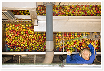 150115_Content_img-Saftkelteri-3