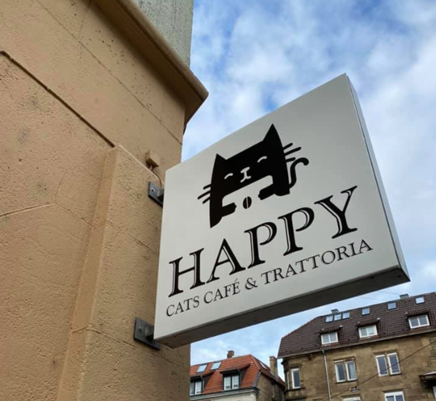 happy Cats Café & Trattoria Stuttgart Katzencafé