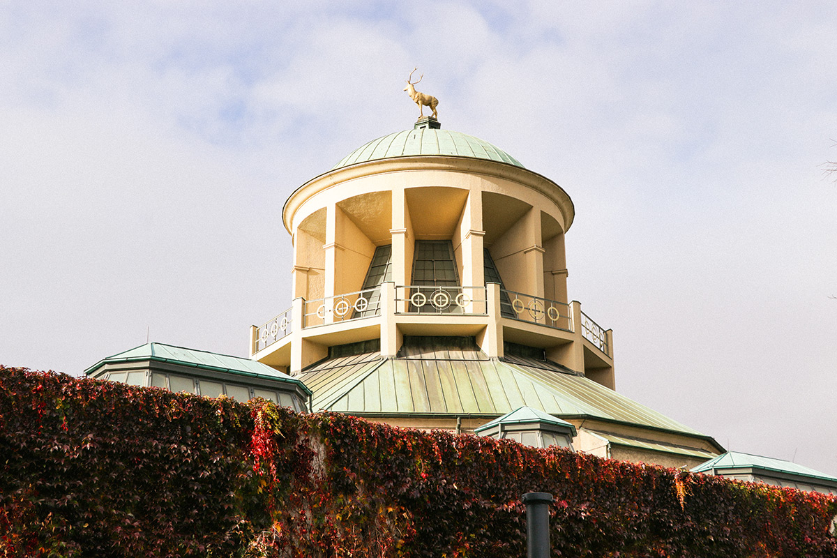 Stadtblick Yasmina Saimler