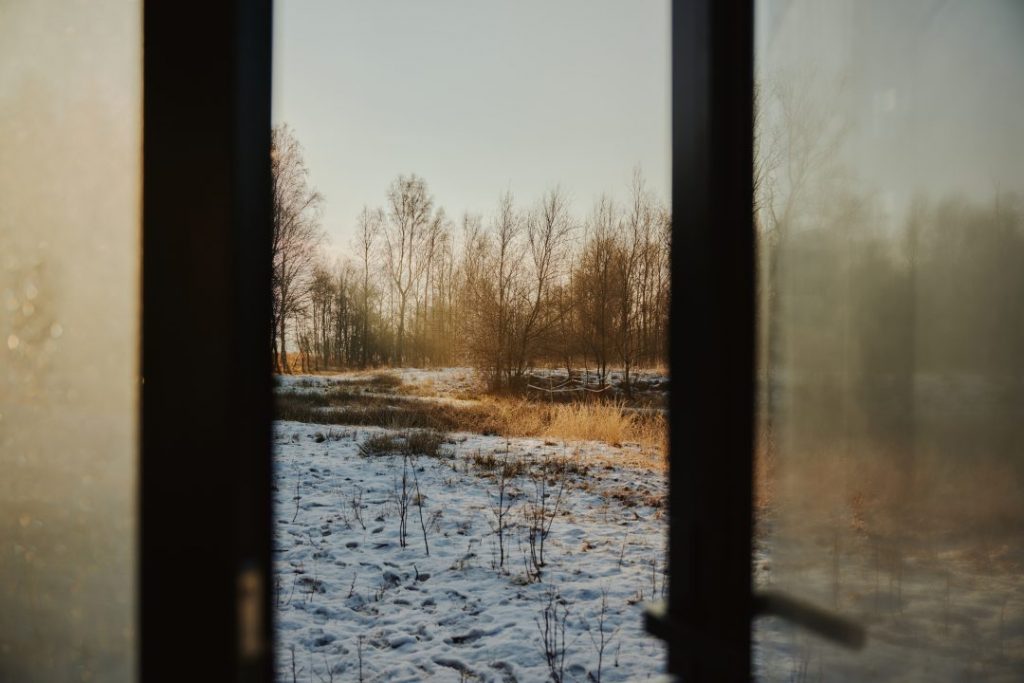 Cabin