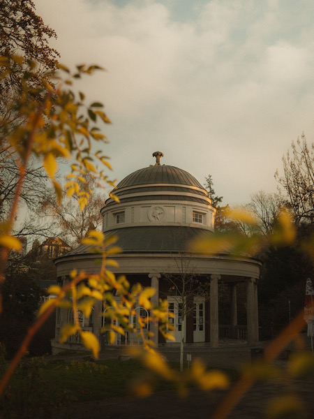 Die kleinen Dinge groß machen: Tobi Roams fängt in seinen Fotografien Stuttgarts schöne Seiten ein.